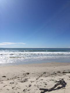 12063505_10208887041354127_1196061294114330455_n