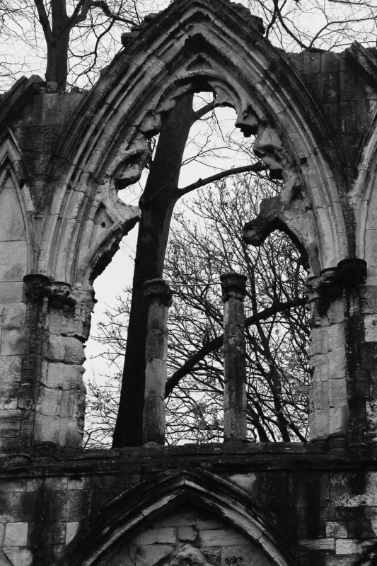 St Mary's Abbey-3
