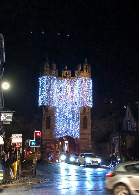 York Christmas garden-1