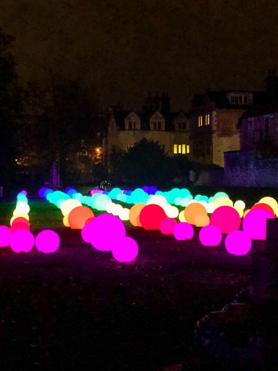 York Christmas garden-10