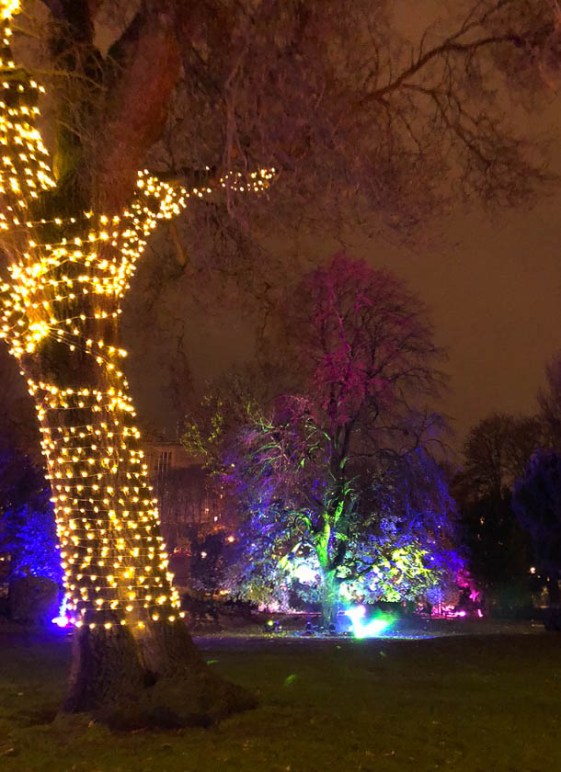 York Christmas garden-5