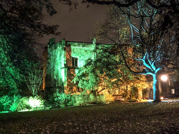 York Christmas garden-7