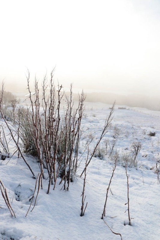 Scottish highlands-4