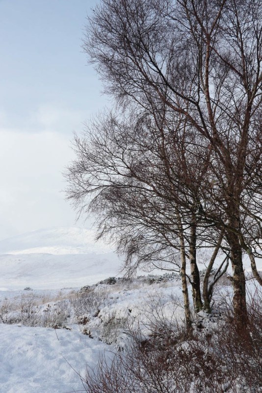 Scottish highlands-5