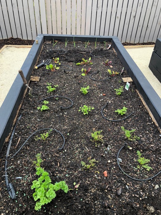 Hw%oLDPvRrK0e8a6IR+%Wg