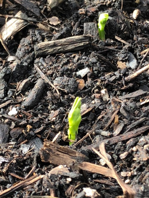 Do5XT8VGSZSl6ujZUwIQvQ