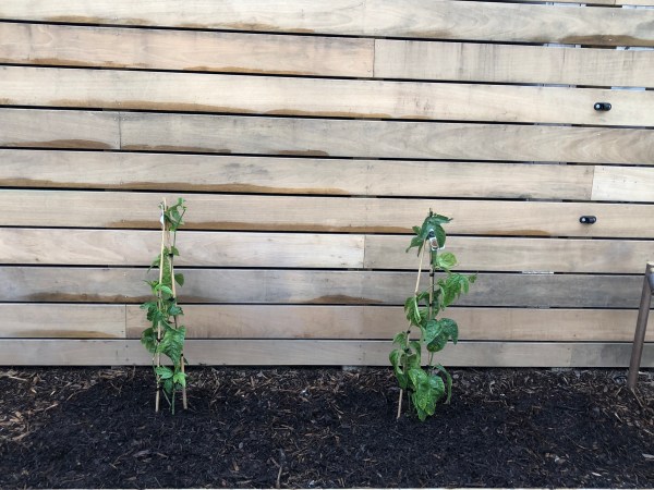 i5%qBU2lQX63wyALlGcg7w