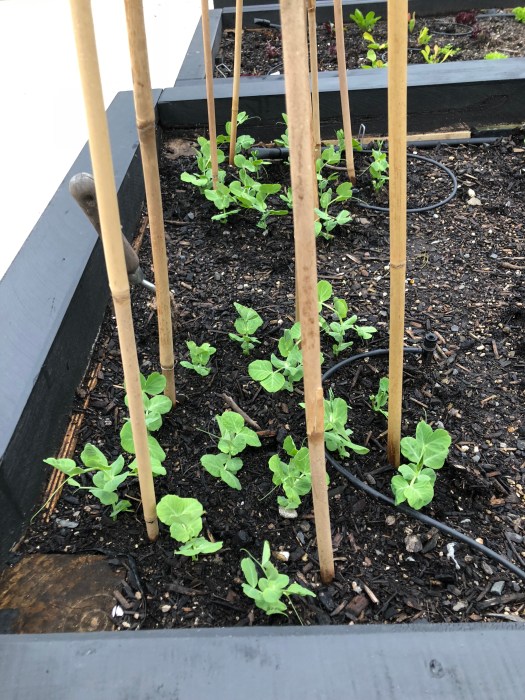 l9+X0Sq%RA2eNOz88ItXqQ