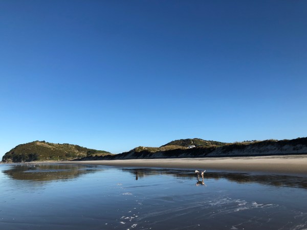 y78roXkXQN2tzq9wbxyKgA