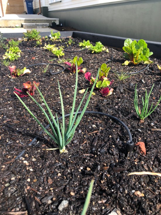 4eR6oqQtS3Of+oj13QmijQ