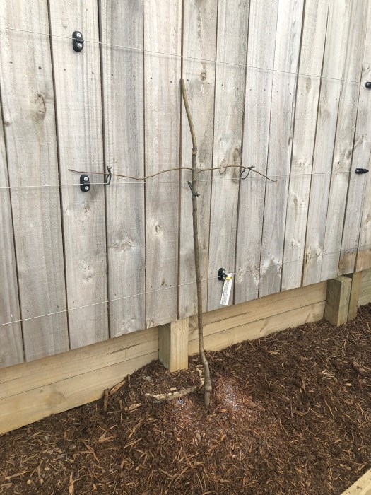 5uSjgPgXRxmnuuR9yofAgg