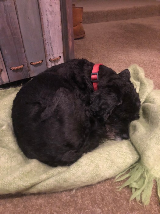 EjzunD7KQpyTv2Hvl89gvQ