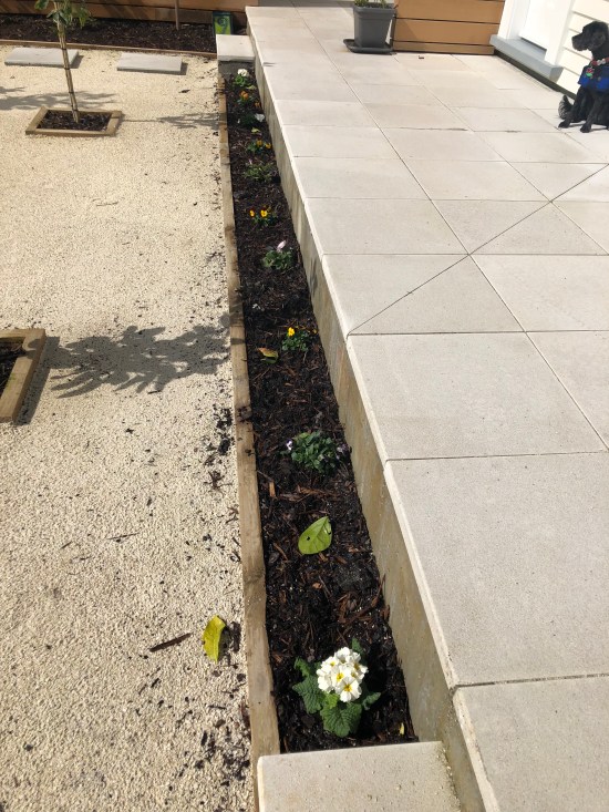 fMjSruKQSeWoS6ErP4uM5w