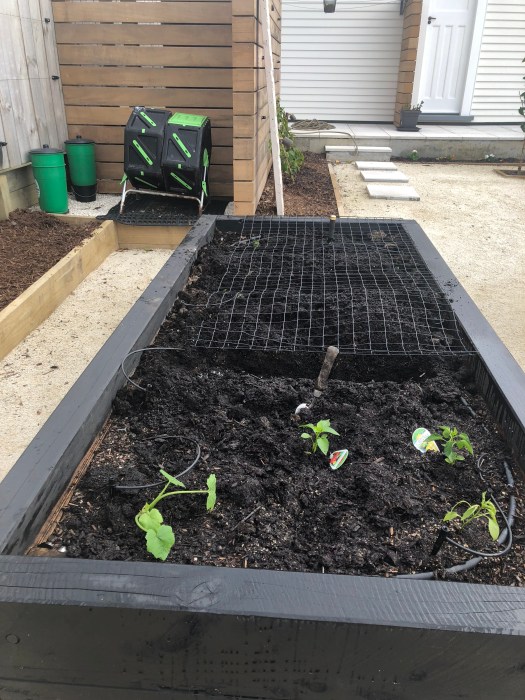 KpAIyrcBRgaUHj+6d1uu6w