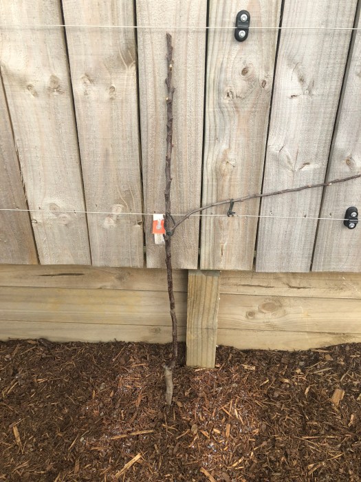 tryPSY5QSkOT9XLcUj+L4A