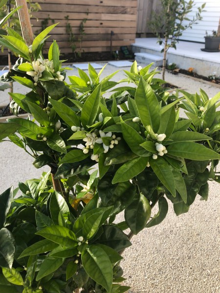 8PrnDwLxQn2Xo14Qfd7Mqw