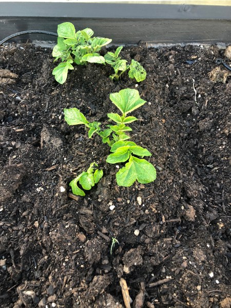 Ttt6w1OnSWSoIgDh1fiEzg