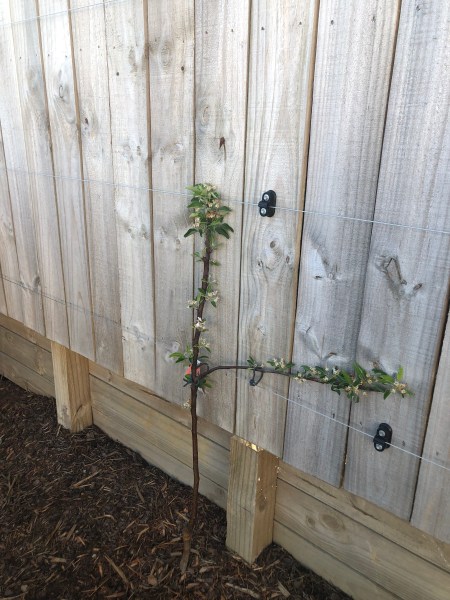 wzokmT4mS82k7kHvxh7nnQ