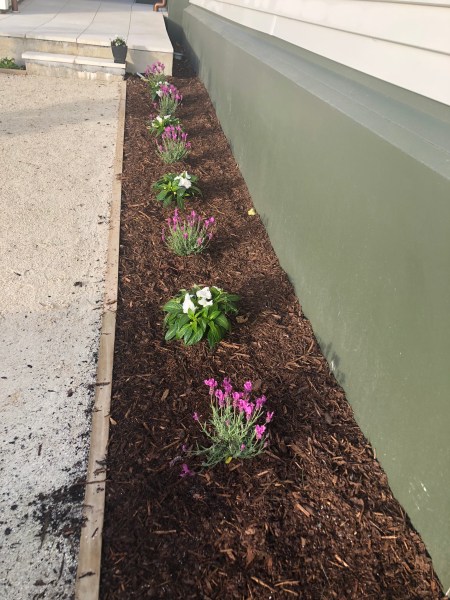 zTfziMwsQ3+4hatQzl%8QQ